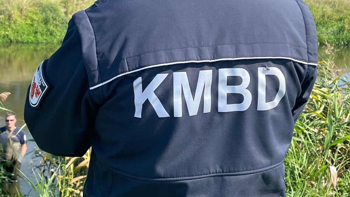 Kampfmittelräumdienst