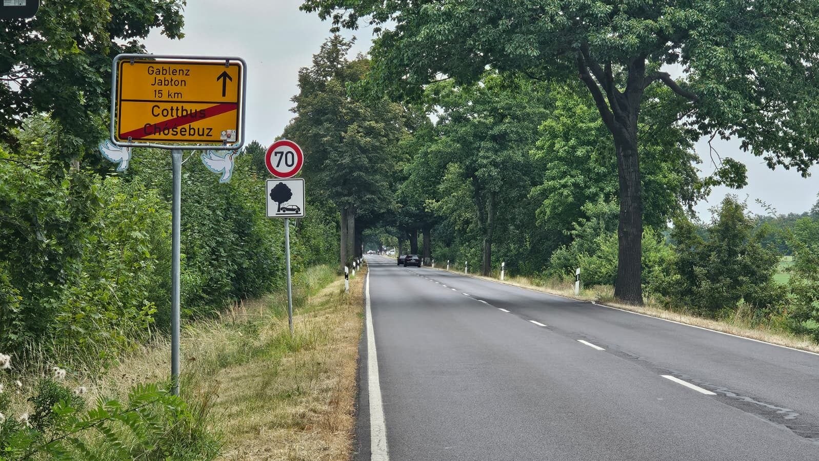 B168 aus Cottbus OT Branitz in Richtung Forst Lausitz