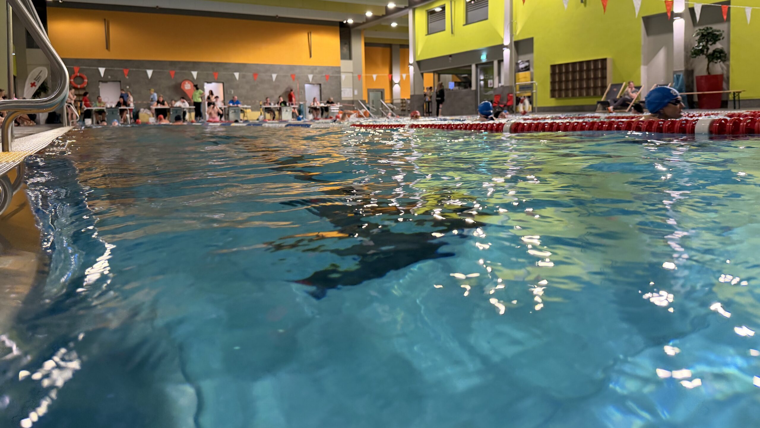 24-Stunden-Schwimmen in Forst begeistert mit Ausdauer, Teamgeist und Rekordleistung